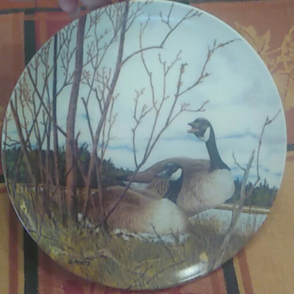 Collectors plate